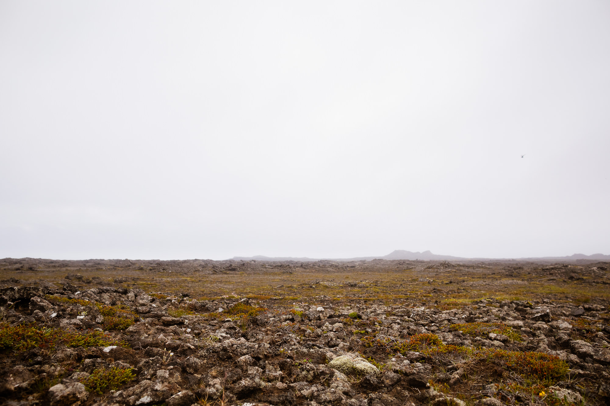 Export x3 5D4 8795 Gaby & German @ Reykanesviti